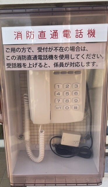 10000069699.jpg